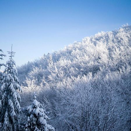 Poniwiec Mala Czantoria Ustroń Buitenkant foto