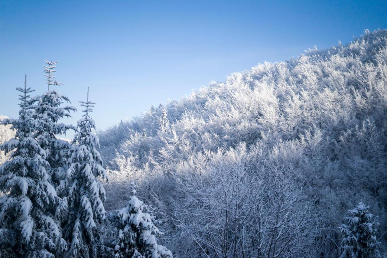 Poniwiec Mala Czantoria Ustroń Buitenkant foto